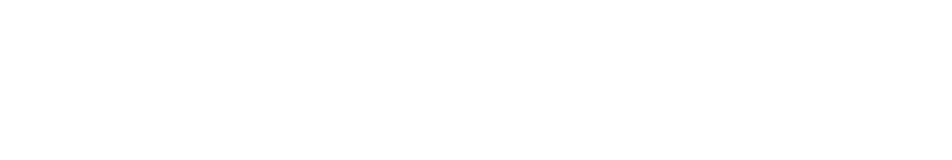 Bitizenship